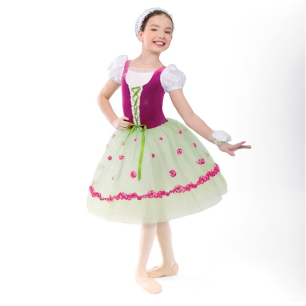 Girls 4T costume / party / fancy dress.
